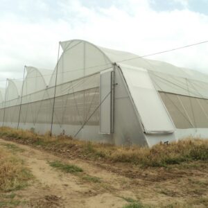 greenhouse covering-fan-drip